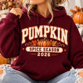 2026 Pumpkin Spice Season Hoodie, Varsity Fall Graphic Sweatshirt